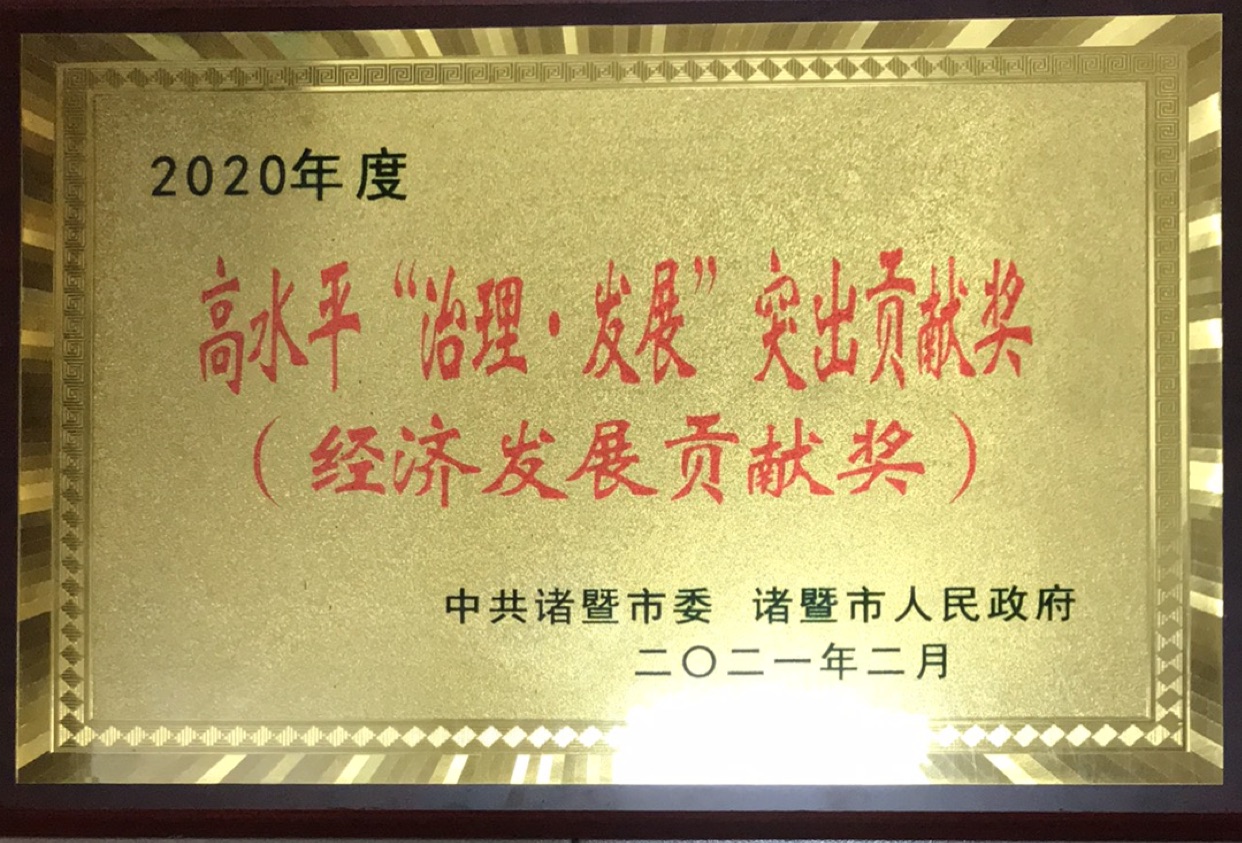2020年度高水平“治理·發(fā)展”突出貢獻獎